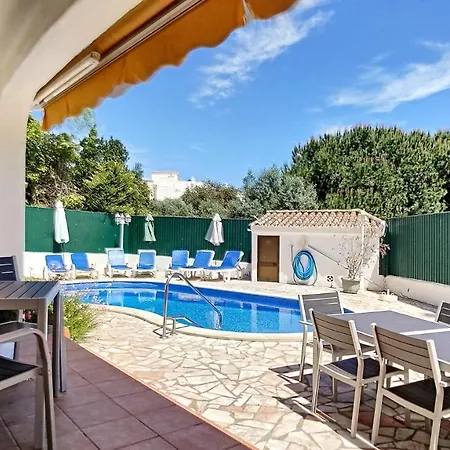 Palmeira Gale * البوفيرا