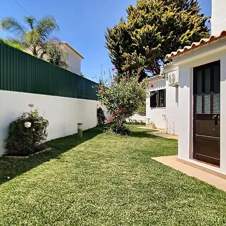 Palmeira Gale فيلة