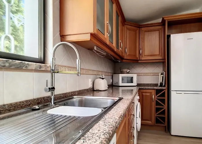 Palmeira Gale 阿尔布费拉