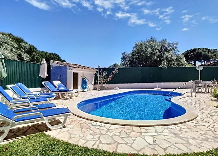 Palmeira Gale * 阿尔布费拉