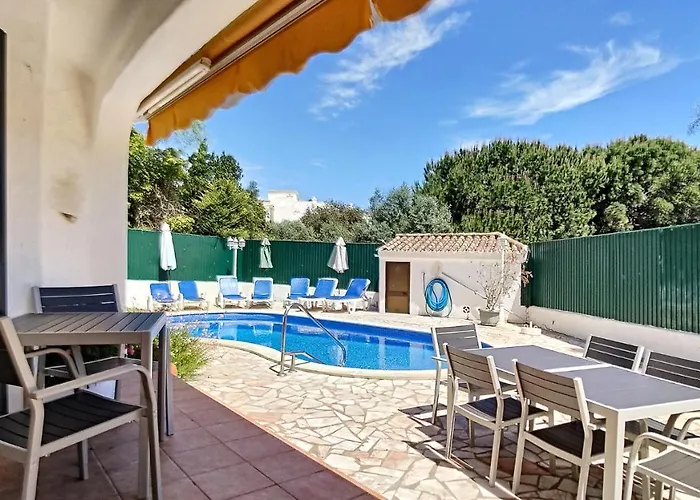 Palmeira Gale * 阿尔布费拉