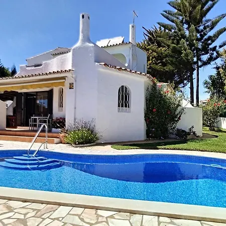 Palmeira Gale فيلة *