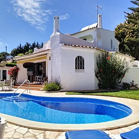 Palmeira Gale فيلة *