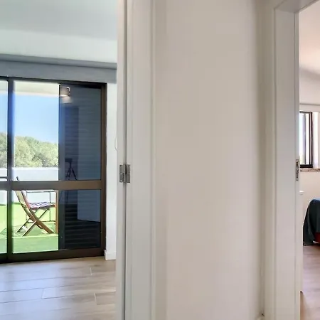 Palmeira Gale فيلة البوفيرا